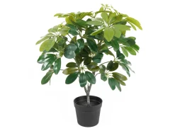 Present time - Artificial plant Shefflera green