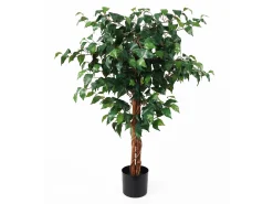 Present time - Artificial plant Fig Ficus