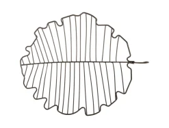 Present time - Fruit basket Leaf large iron black