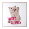 Present time - Wall art kitten Sweet & Spicy bright pink