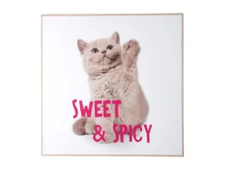 Present time - Wall art kitten Sweet & Spicy bright pink