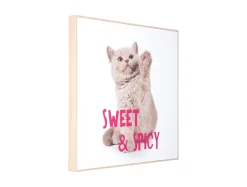 Present time - Wall art kitten Sweet & Spicy bright pink
