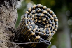 Rug Solid - Tæppe jute læder, graphite - 75x200 cm.