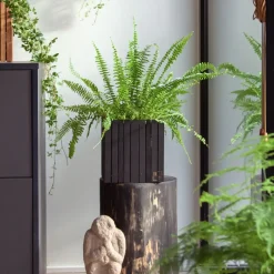 SQUARELY COPENHAGEN - Plantekasse - GrowON - Sort Ask