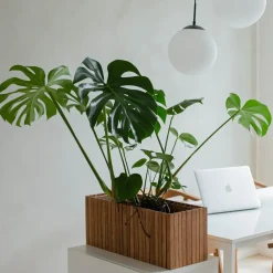 SQUARELY COPENHAGEN - Plantekasse - GrowWIDE - Mørk Eg - 60 x 22 x 24