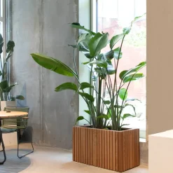 SQUARELY COPENHAGEN - Plantekasse - GrowLARGE - Mørk Eg - 90x45x52cm