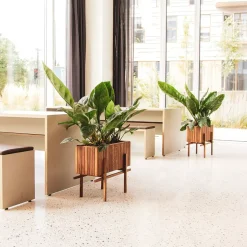 SQUARELY COPENHAGEN - Stativ til GrowWIDE - StandWIDE - Mørk Eg