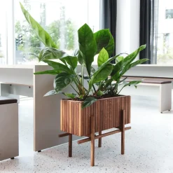 SQUARELY COPENHAGEN - Stativ til GrowWIDE - StandWIDE - Mørk Eg