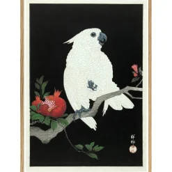 The Dybdahl - Plakat 50x70 cm. - Cockatoo & Pomegranate - Papir