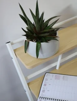 UNILUX - Folde bord - HOMY - Bøg/Hvid