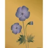 VISSEVASSE - Geranium plakat, amber - 50x70 cm
