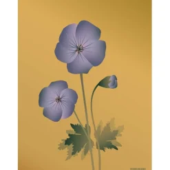 VISSEVASSE - Geranium plakat, amber - 50x70 cm