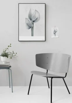 ViSSEVASSE - Plakat Botanica Anthurium Andraeanum - (50x70 cm)