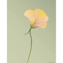 ViSSEVASSE - Tallerkensmækker - 50x70 - Støvet grøn