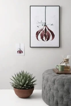 VISSEVASSE plakat - Botanica Gloriosa Superba 50x70